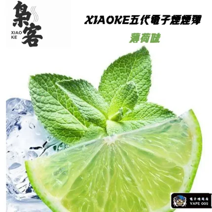 【薄荷口味】XIAOKE梟客電子煙彈 通用四代五代主機 買五盒送主機 一盒三顆入